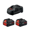 Bosch 18V CORE18V 6Ah High Power Starter Kit w/ Fast Charger GXS18V-20N26