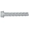 DeWalt Screwbolt Screw Anchor 3/4" X 5" (Pack of 20) PFM1411760