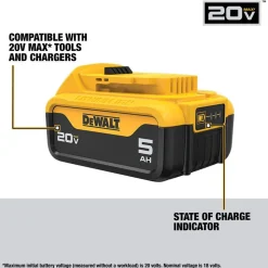 DeWalt 20V MAX 5.0Ah Batteries (2 Pack) DCB205-2