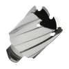 Hougen 1-3/16" x 1" Depth RotaLoc Plus HSS Annular Cutter 17838