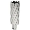 Hougen 1-7/16" x 3" 12,000-Series Annular Cutter Rotabrach 3-12246