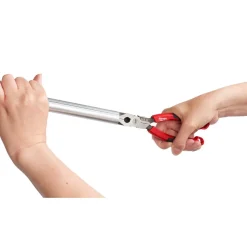 Milwaukee 8
