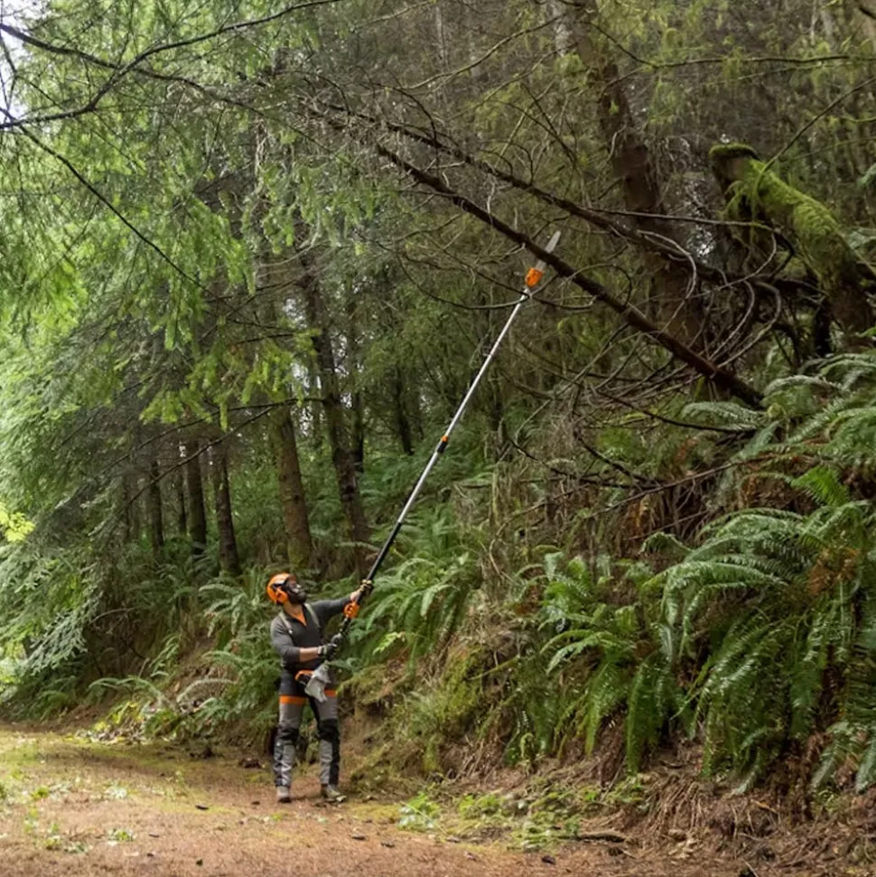 STIHL Professional Telescoping Pole Pruner HT 135